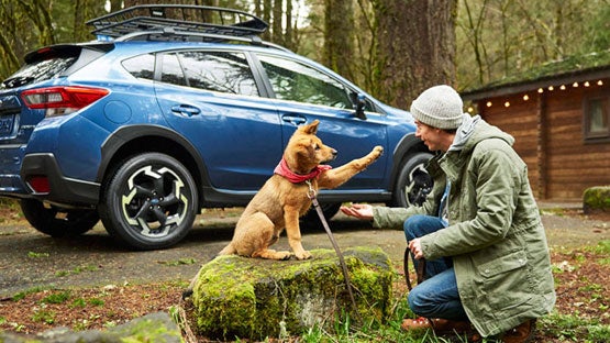 SubaruDemo1 in Conway NH