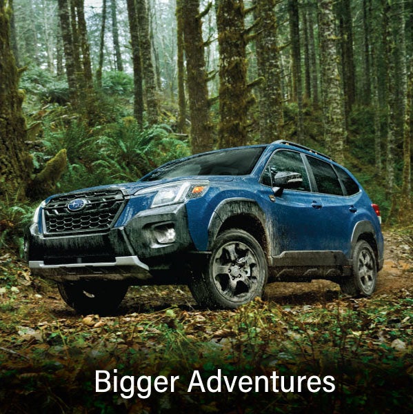 A blue Subaru outback wilderness with the words “Bigger Adventures“. | SubaruDemo1 in Conway NH